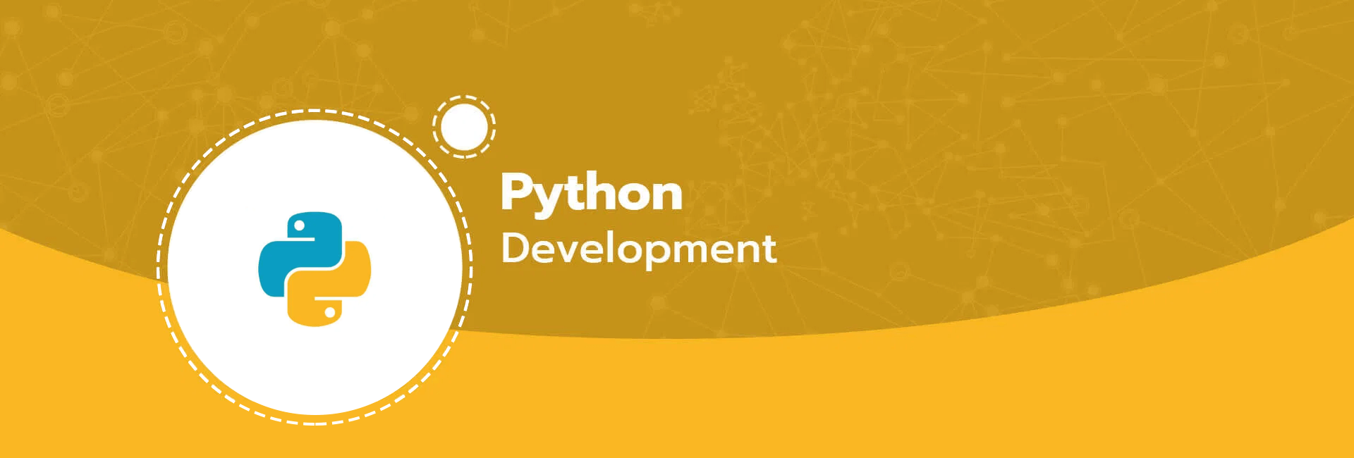 Python разработчик вакансии. Python developer. Python визитка. Web developer Python. Python Dev.