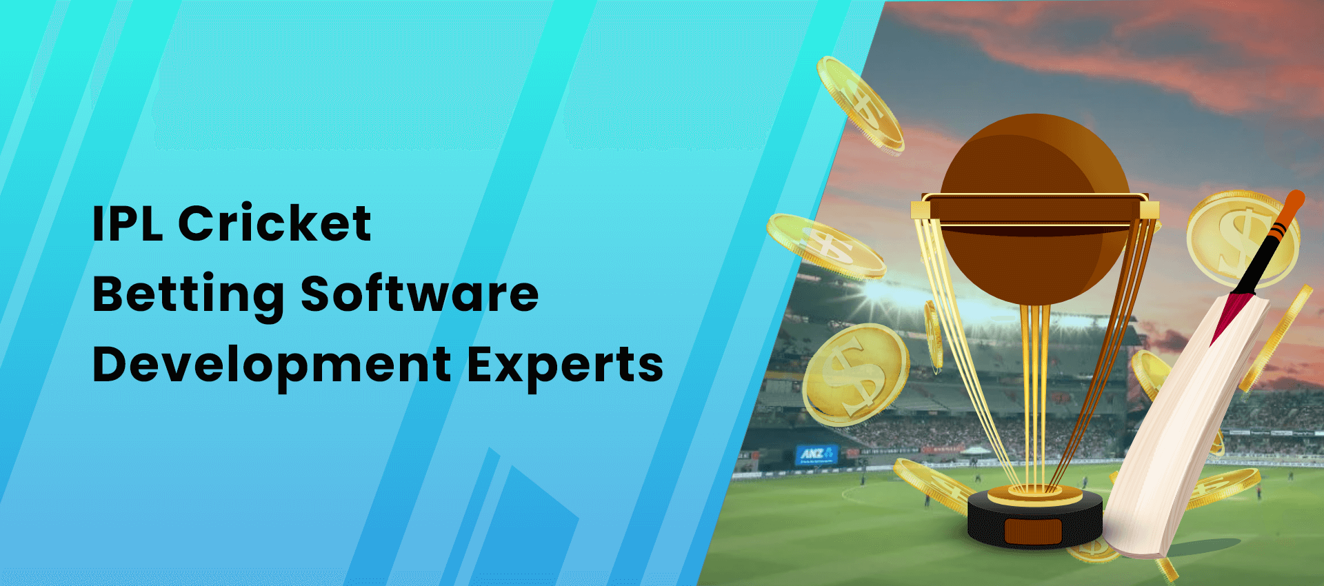 IPL Cricket Betting Software I IPL Betting App Development